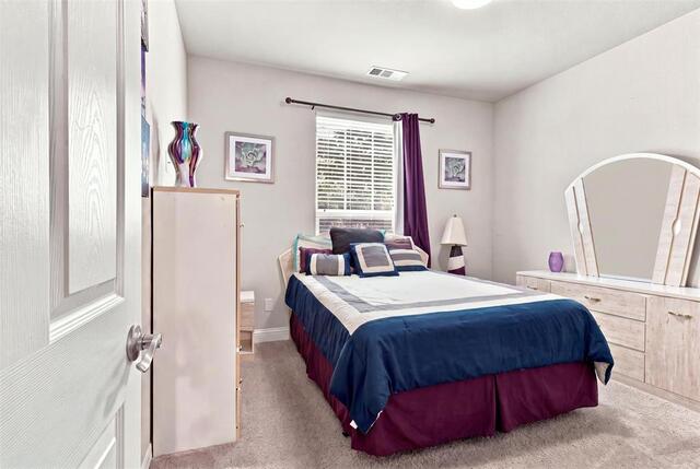 1013 Goldenrod Lane, Little Elm, TX photo 17