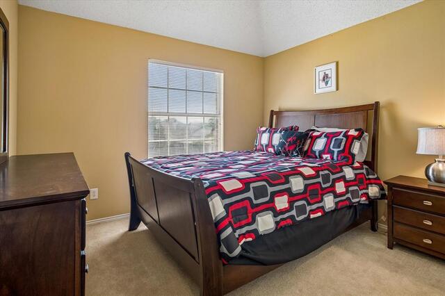 1368 Winnipeg, Drive Lewisville, TX photo 27