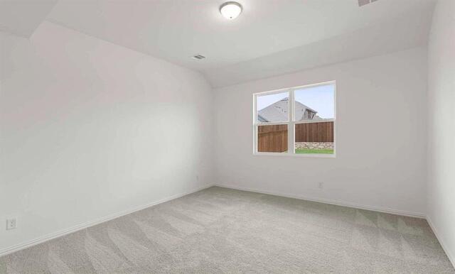 3305 Big Stump, Court Celina, TX photo 14