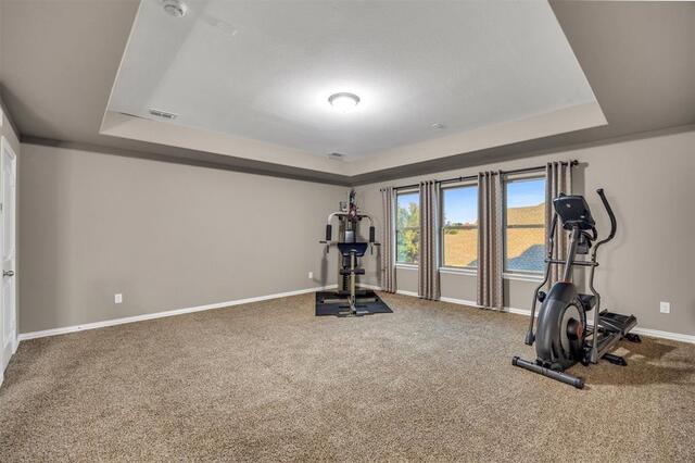 3014 Aurora Mist Drive, Little Elm, TX photo 29