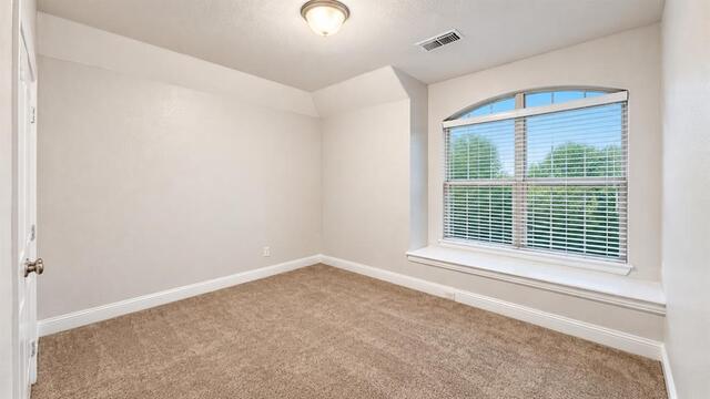 2909 Mountain Creek, Drive McKinney, TX photo 29