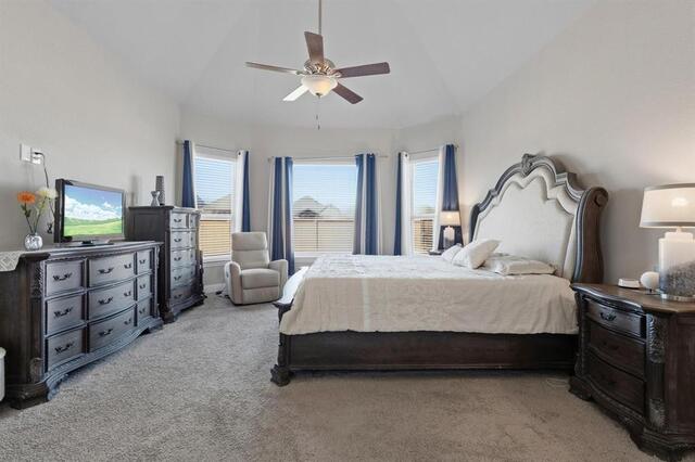 7309 Clear Rapids, Drive McKinney, TX photo 8