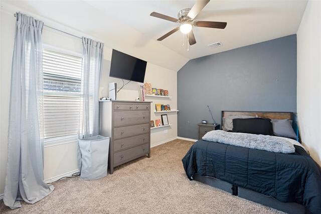 2261 Barx Drive, Little Elm, TX photo 17