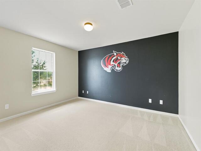 1401 Canary Drive, Little Elm, TX photo 28