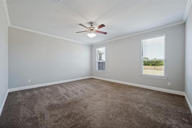 3609 Cimarron River, Drive Celina, TX photo 16
