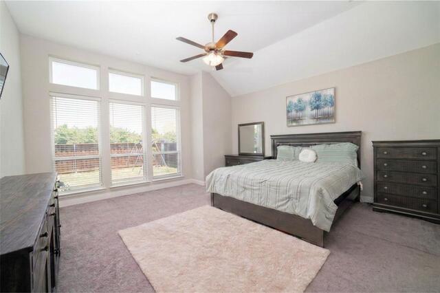 2609 Hammock Lake Drive, Little Elm, TX photo 17