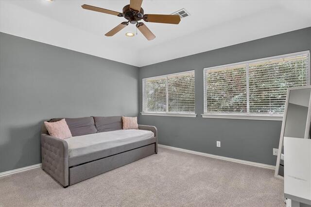 901 Brittany, Drive Lewisville, TX photo 33