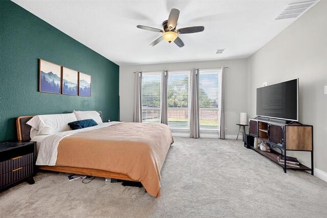 3500 Bristle Cone Drive, Little Elm, TX photo 11