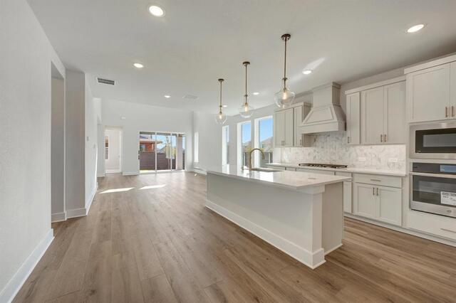 1100 Amaryllis Lane, Little Elm, TX photo 6