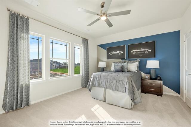 833 Rain Lilly Street, Little Elm, TX photo 37