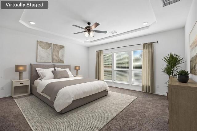 1817 Ordonez Drive, Little Elm, TX photo 17