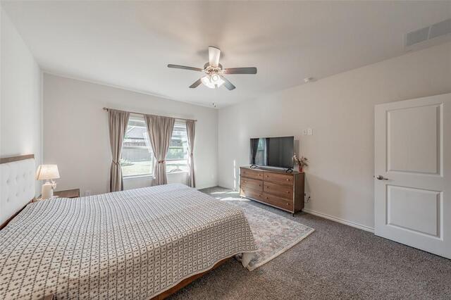 317 Willowmore Drive, Little Elm, TX photo 15