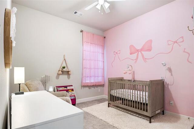356 Greenbriar Road, Little Elm, TX photo 32