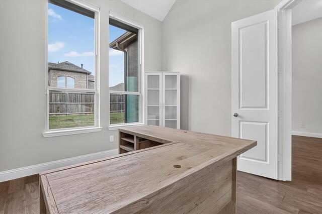 10105 Bitterroot Drive, Little Elm, TX photo 27