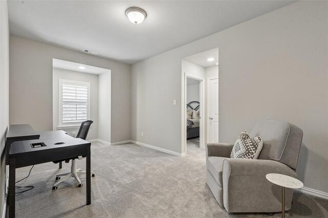 2500 Ever Birch, Way McKinney, TX photo 32