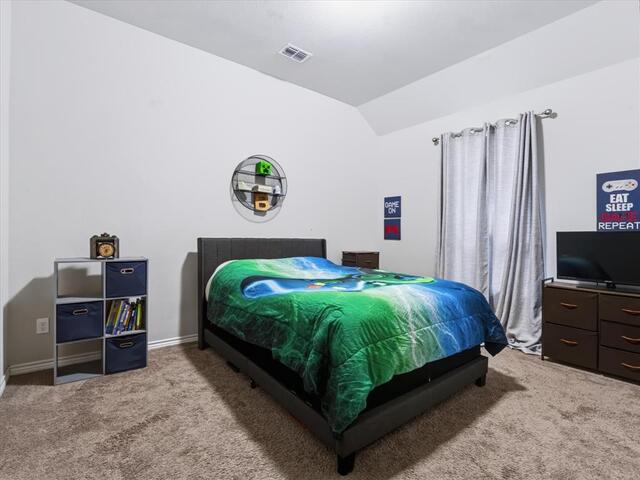 620 Lake Sierra Way, Little Elm, TX photo 11