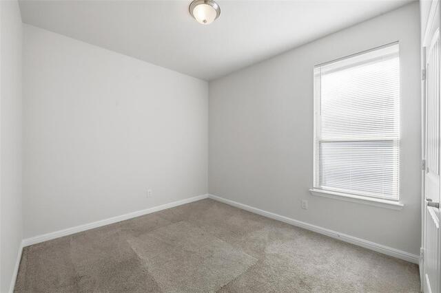 4409 Chicory, Court Denton, TX photo 18