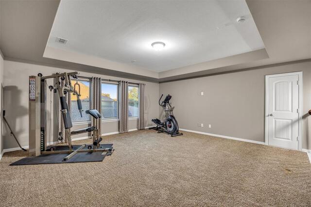 3014 Aurora Mist Drive, Little Elm, TX photo 9