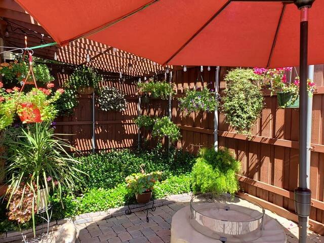 2800 Keller Springs Road, 8C Carrollton, TX photo 24