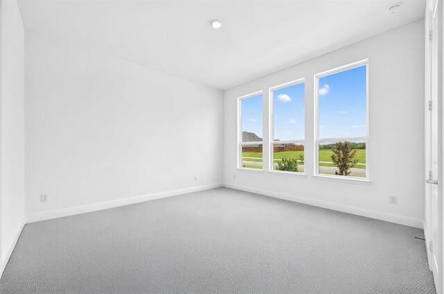 1600 Yellow Rose, Road Celina, TX photo 17