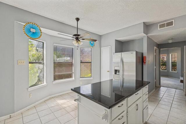 2315 Cuesta, Lane McKinney, TX photo 6