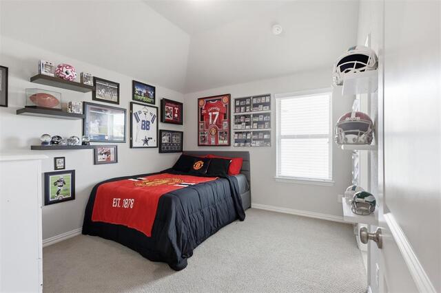 10813 Sycamore Falls Drive, Flower Mound, TX photo 30
