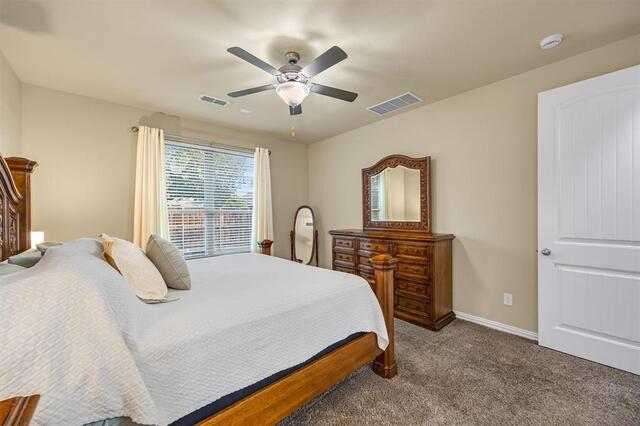 3014 Aurora Mist Drive, Little Elm, TX photo 23