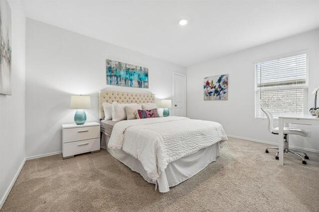 3501 Harper Street, Little Elm, TX photo 16
