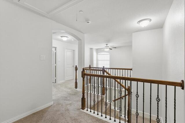 6529 Rutherford, Road Plano, TX photo 22