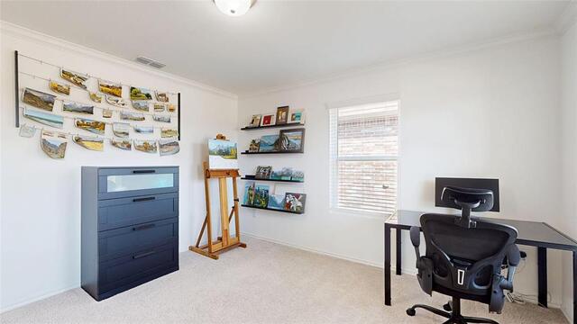 2520 Pecan Park, Drive Denton, TX photo 20