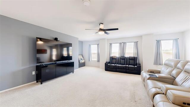 2520 Pecan Park, Drive Denton, TX photo 23