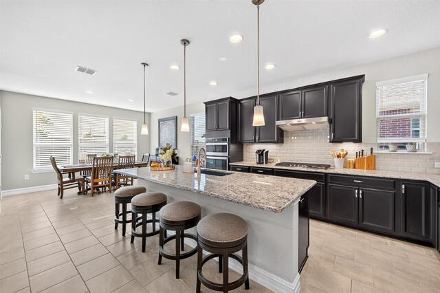 14903 San Paulo, Street Frisco, TX photo 18