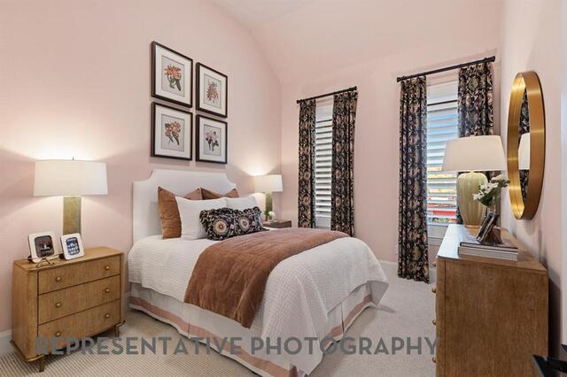 281 Pecan, Trail Prosper, TX photo 29