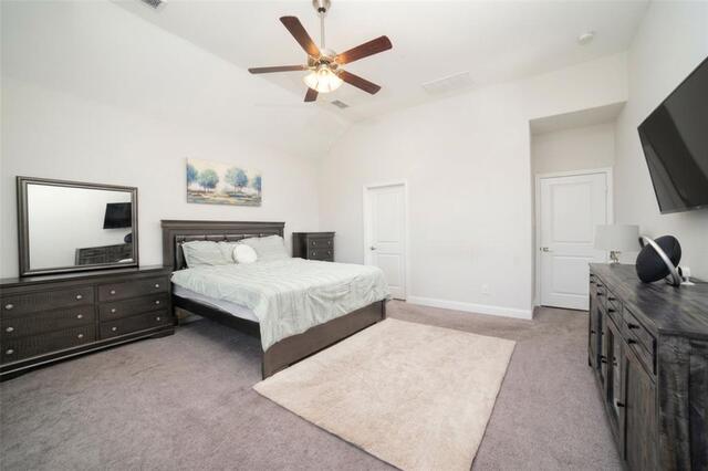 2609 Hammock Lake Drive, Little Elm, TX photo 18