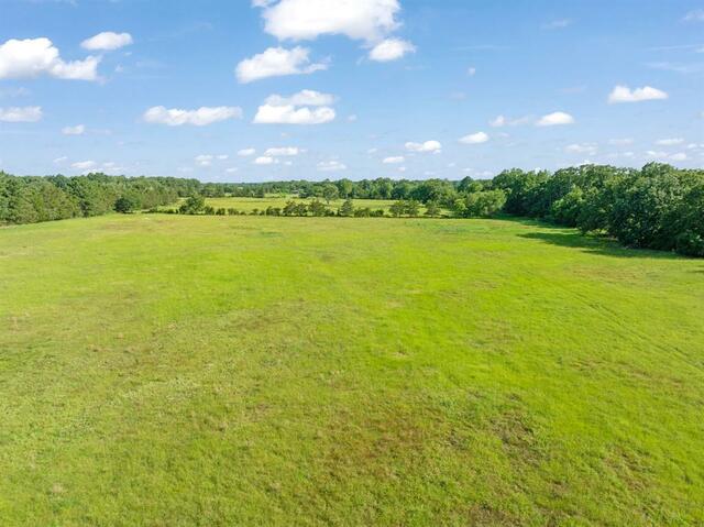 259 County Road 44880, Blossom