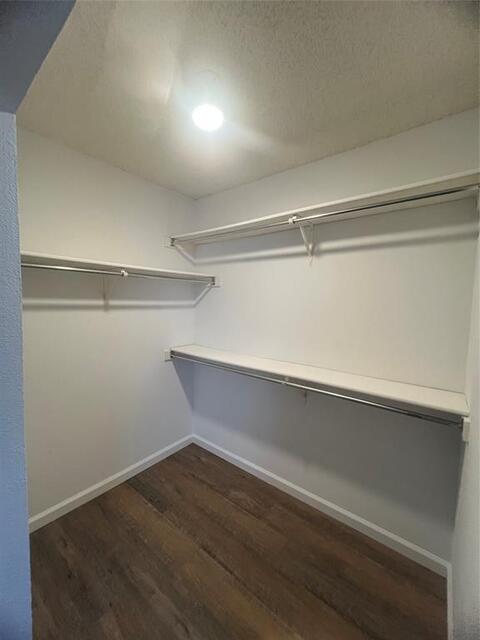 4125 Gardner Drive, The Colony, TX photo 23