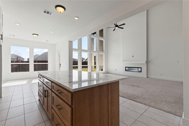 5520 Aiken, Street Celina, TX photo 6