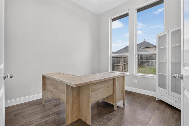 10105 Bitterroot Drive, Little Elm, TX photo 26