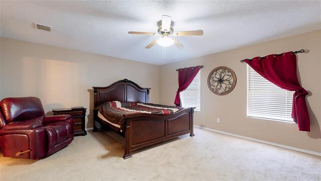 2501 Ash Drive, Little Elm, TX photo 15