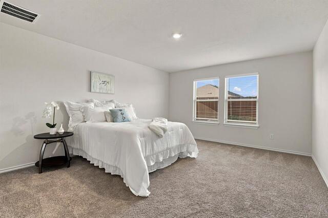 1432 Briar Hill, Drive Denton, TX photo 17