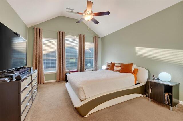 808 Green Coral Drive, Little Elm, TX photo 17