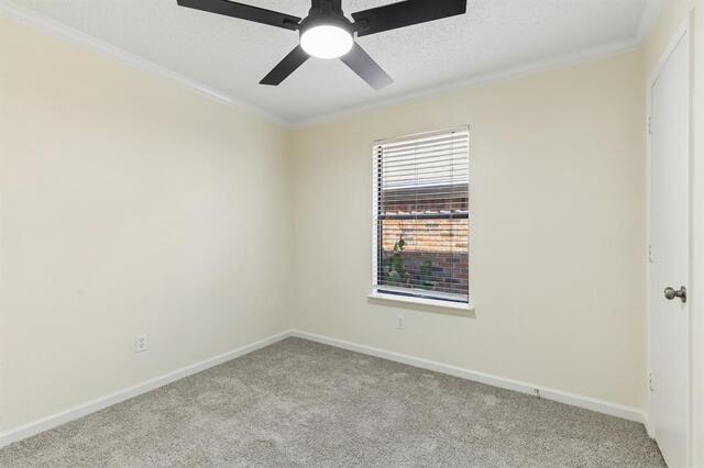 1010 Bull, Run Denton, TX photo 20
