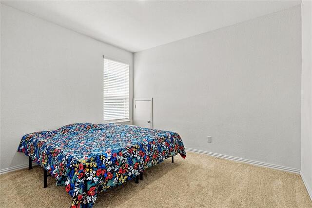8709 Red Fox, Trail McKinney, TX photo 24