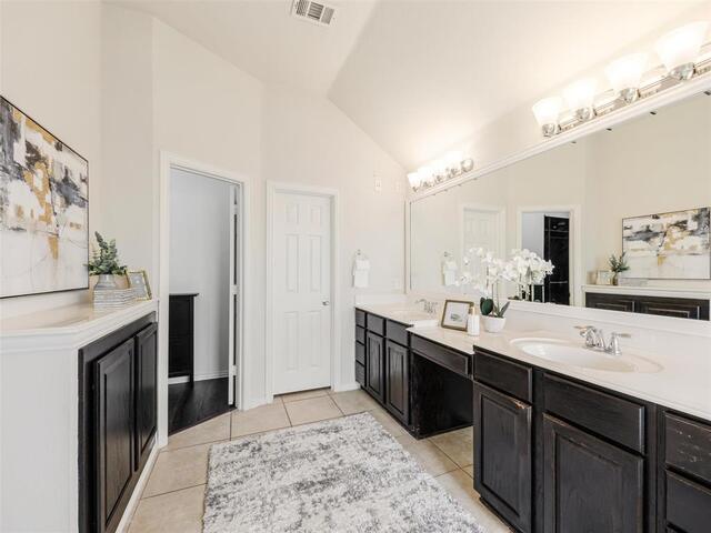 1317 Wheatear Drive, Little Elm, TX photo 23