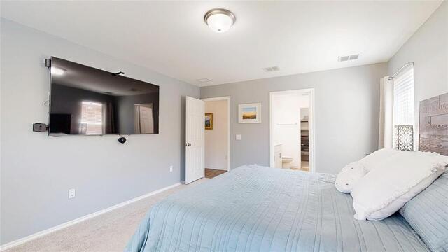 2520 Pecan Park, Drive Denton, TX photo 16