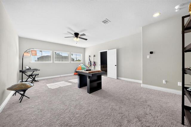 3500 Bristle Cone Drive, Little Elm, TX photo 26