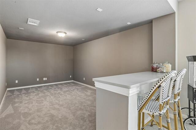 2500 Ever Birch, Way McKinney, TX photo 28