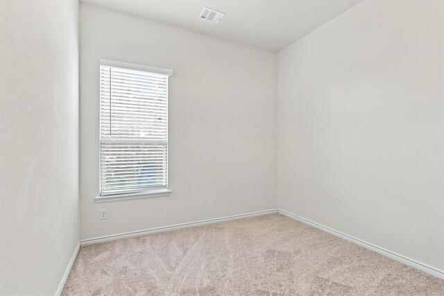 13409 Sueca Drive, Little Elm, TX photo 20