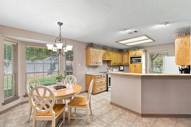 3713 Pheasant, Hollow Denton, TX photo 12