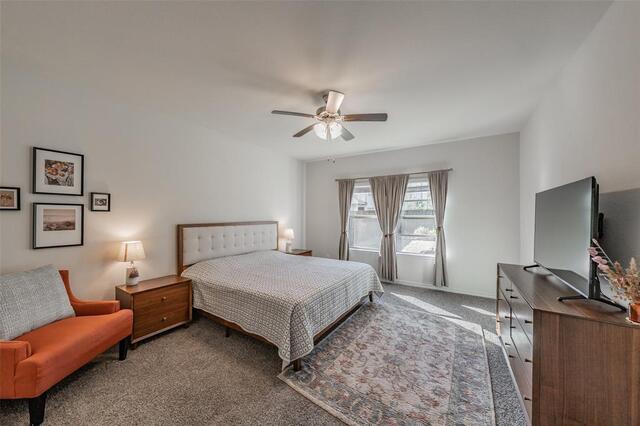 317 Willowmore Drive, Little Elm, TX photo 14